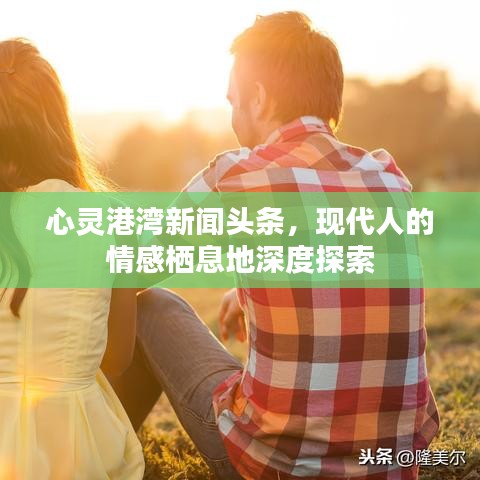 心灵港湾新闻头条,现代人的情感栖息地深度探索