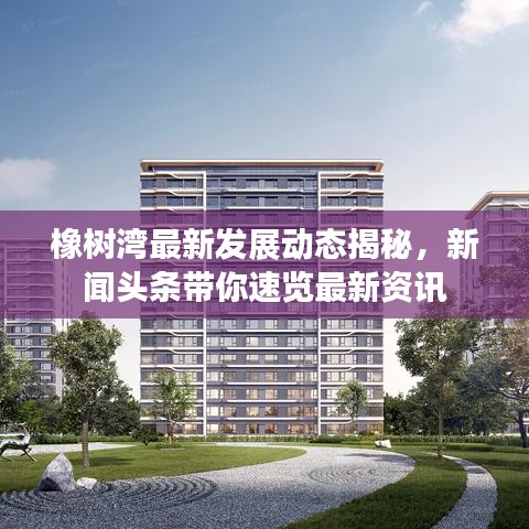 橡树湾最新发展动态揭秘,新闻头条带你速览最新资讯