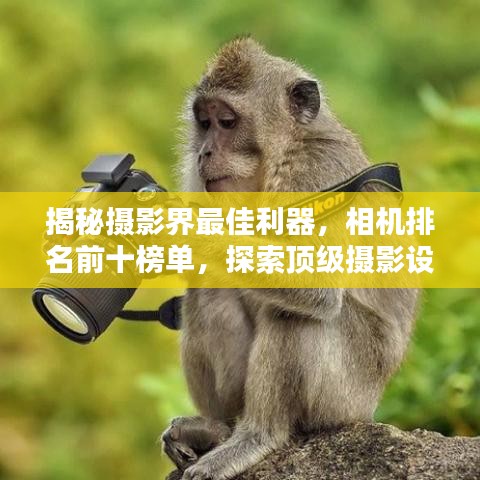 揭秘摄影界最佳利器，相机排名前十榜单，探索顶级摄影设备精选列表！