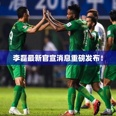 李磊最新官宣消息重磅发布!