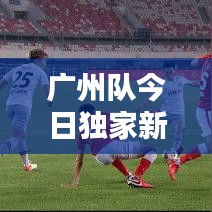 广州队今日独家新闻速递