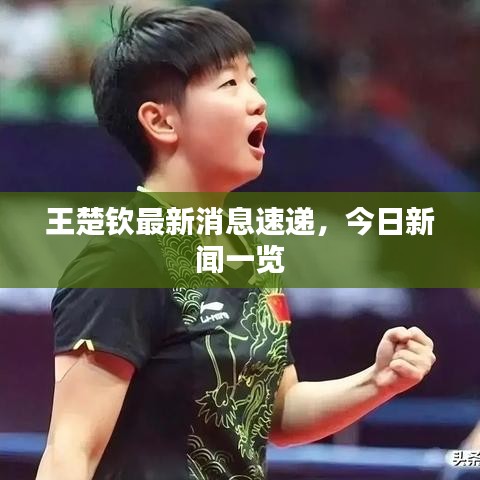 王楚钦最新消息速递,今日新闻一览