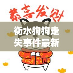 衡水狗狗走失事件最新视频报道,搜救进展与感人瞬间