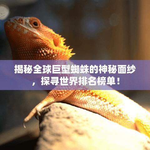 揭秘全球巨型蜘蛛的神秘面纱,探寻世界排名榜单!