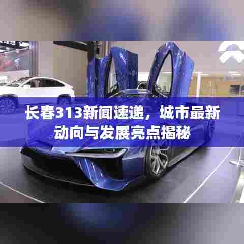 长春313新闻速递,城市最新动向与发展亮点揭秘
