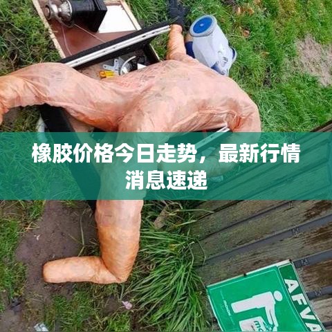 橡胶价格今日走势,最新行情消息速递