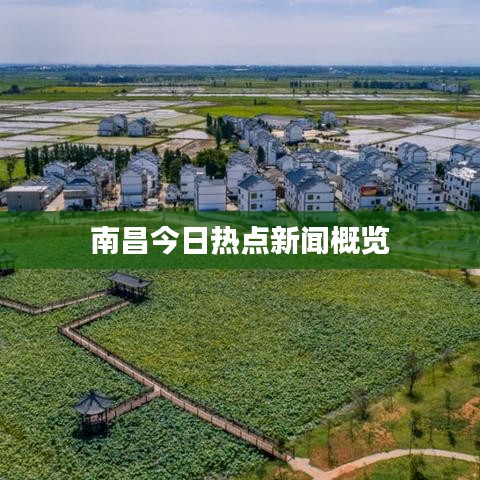 南昌今日热点新闻概览