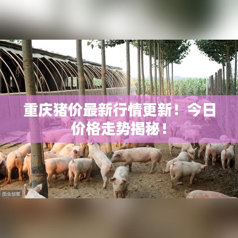 重庆猪价最新行情更新！今日价格走势揭秘！