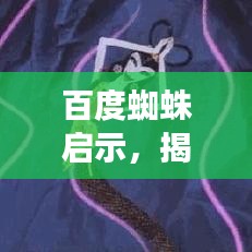 百度蜘蛛启示，揭开词汇奥秘的组词之旅