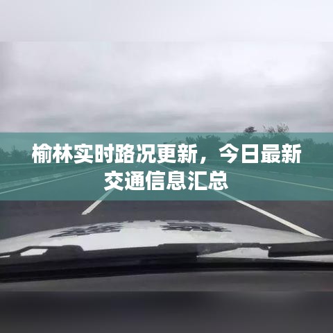 仙姿佚貌 第4页