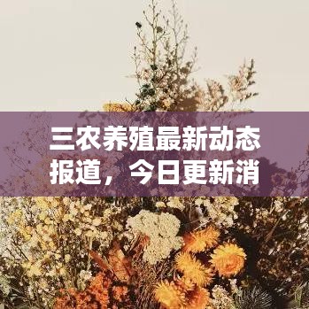 三农养殖最新动态报道，今日更新消息汇总