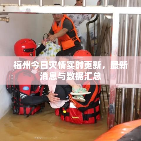 福州今日灾情实时更新,最新消息与数据汇总