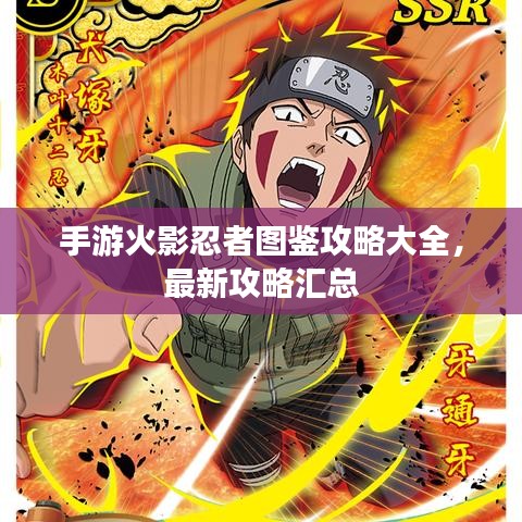 手游火影忍者图鉴攻略大全,最新攻略汇总
