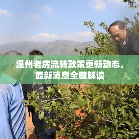温州老房流转政策更新动态,最新消息全面解读