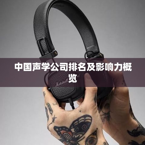 中国声学公司排名及影响力概览