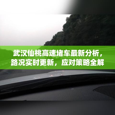武汉仙桃高速堵车最新分析，路况实时更新，应对策略全解读