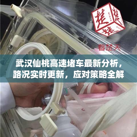 武汉仙桃高速堵车最新分析,路况实时更新,应对策略全解读