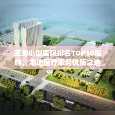芜湖小型医院排名TOP10揭晓,本地医疗服务优质之选