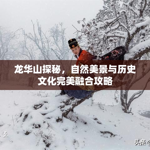 龙华山探秘,自然美景与历史文化完美融合攻略