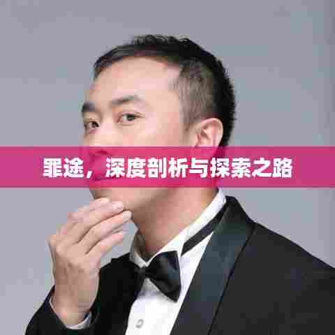 罪途，深度剖析与探索之路