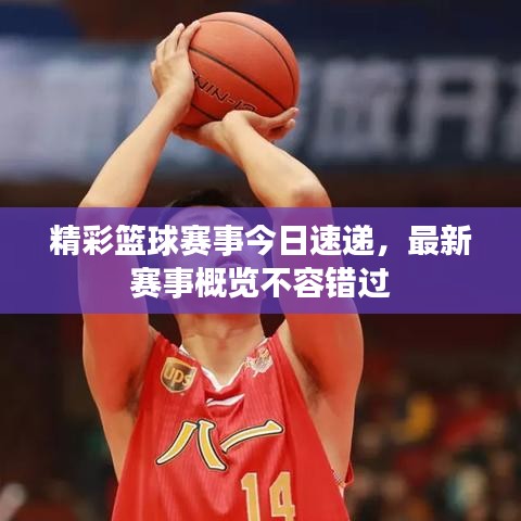 精彩篮球赛事今日速递，最新赛事概览不容错过