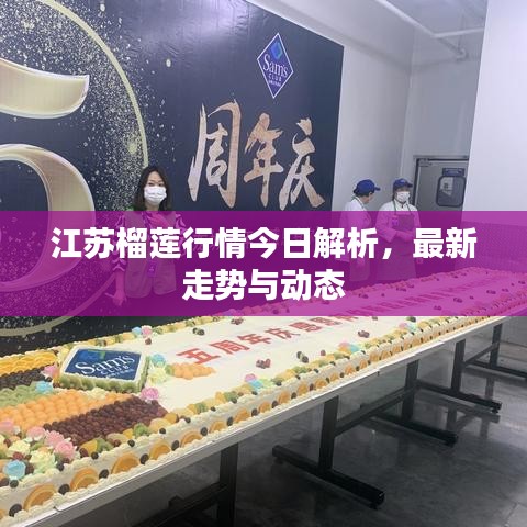 江苏榴莲行情今日解析,最新走势与动态