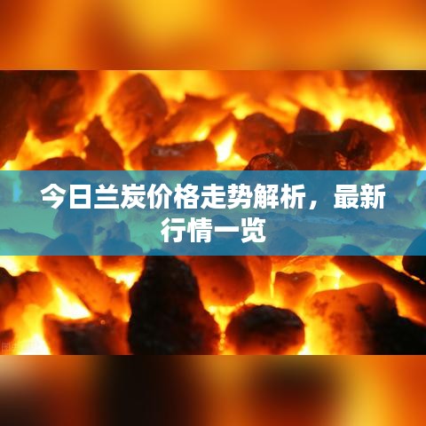 今日兰炭价格走势解析,最新行情一览