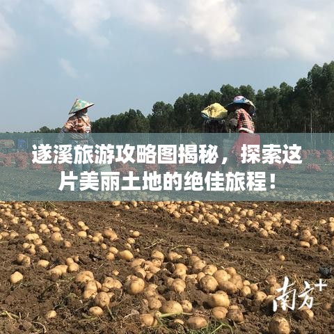 遂溪旅游攻略图揭秘,探索这片美丽土地的绝佳旅程!
