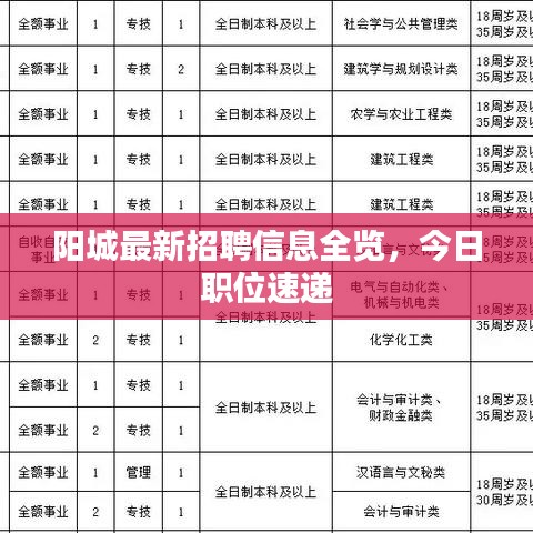 阳城最新招聘信息全览，今日职位速递