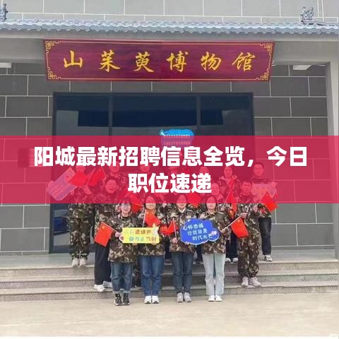 阳城最新招聘信息全览,今日职位速递