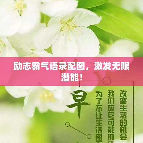 励志霸气语录配图，激发无限潜能！