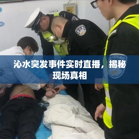 沁水突发事件实时直播,揭秘现场真相