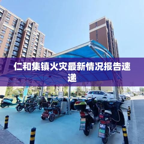 仁和集镇火灾最新情况报告速递