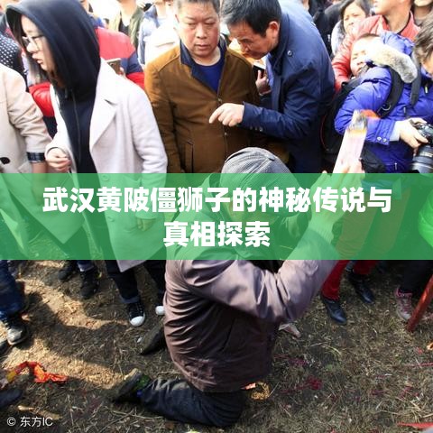 武汉黄陂僵狮子的神秘传说与真相探索
