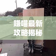 赚喵最新攻略揭秘,轻松掌握赚钱秘籍!