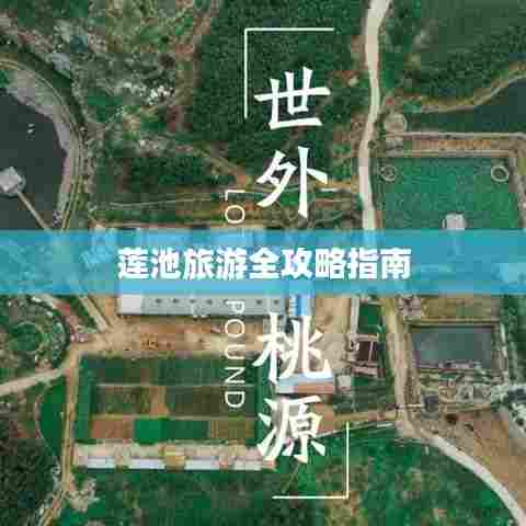 莲池旅游全攻略指南
