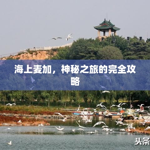 海上麦加,神秘之旅的完全攻略
