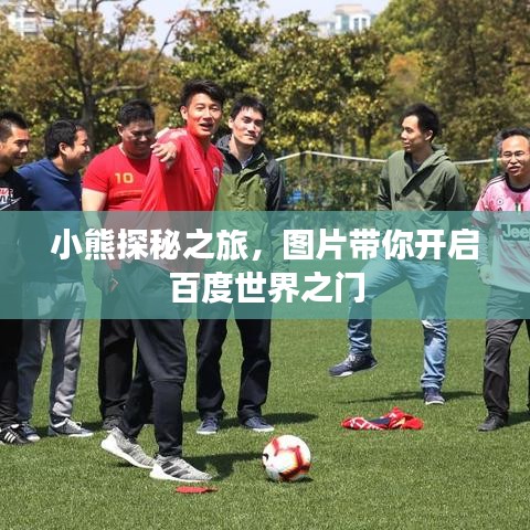 小熊探秘之旅，图片带你开启百度世界之门