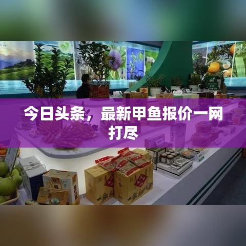 今日头条,最新甲鱼报价一网打尽