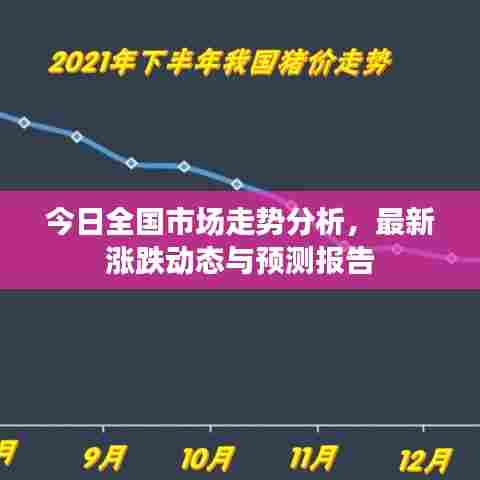 今日全国市场走势分析,最新涨跌动态与预测报告