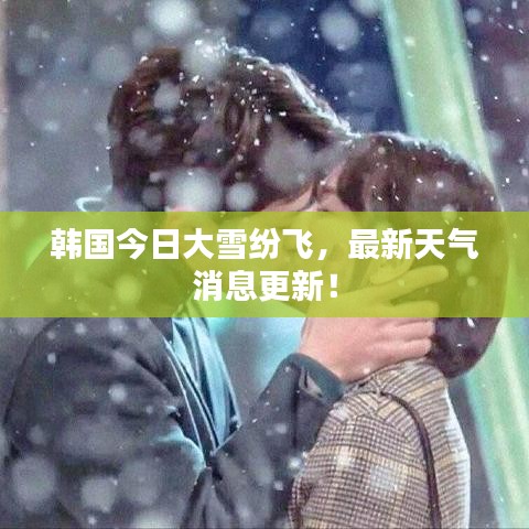 韩国今日大雪纷飞,最新天气消息更新!