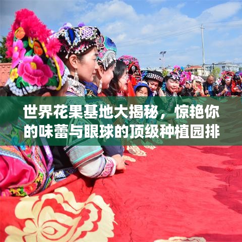世界花果基地大揭秘,惊艳你的味蕾与眼球的顶级种植园排名