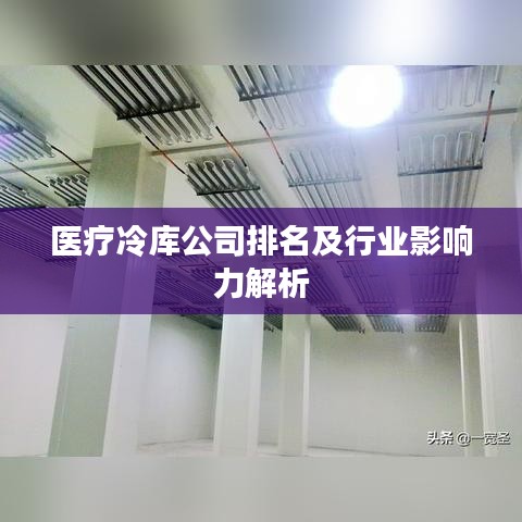 医疗冷库公司排名及行业影响力解析