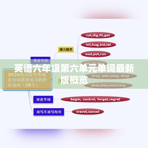 英语六年级第六单元单词最新版概览