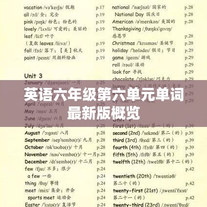 英语六年级第六单元单词最新版概览