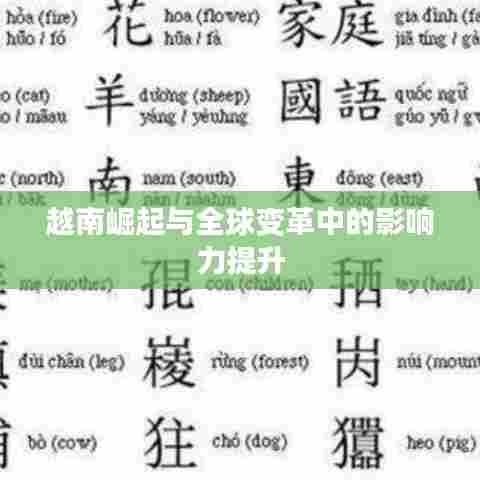 越南崛起与全球变革中的影响力提升