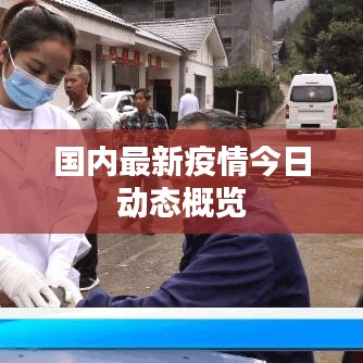 国内最新疫情今日动态概览