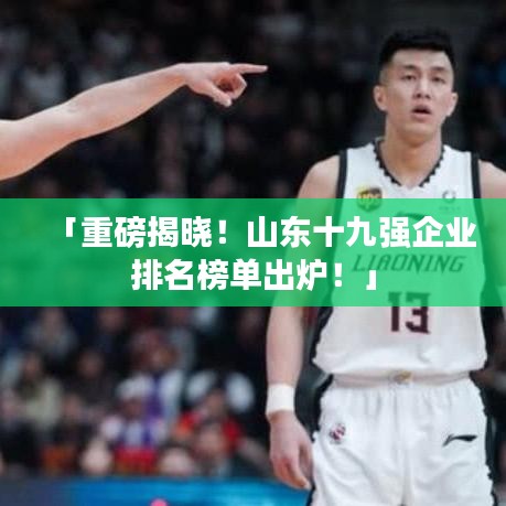 「重磅揭晓!山东十九强企业排名榜单出炉!」