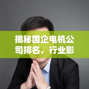 揭秘国企电机公司排名，行业影响力不容小觑！
