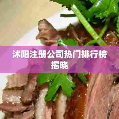 沭阳注册公司热门排行榜揭晓